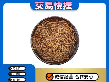 鹰手营子矿区回收散虫草